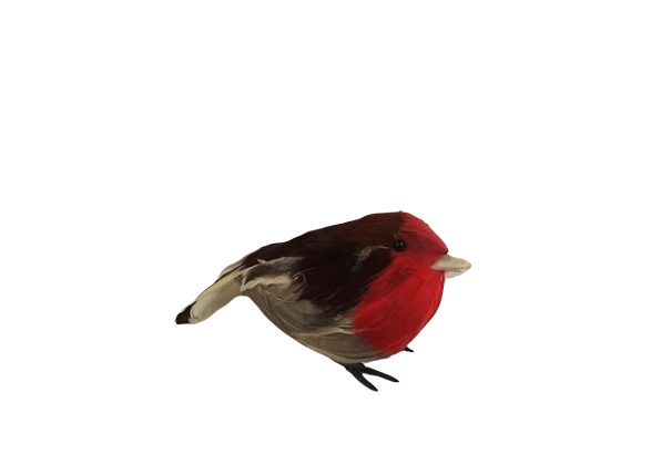 Fat Robins x 6pcs App 12cm-0