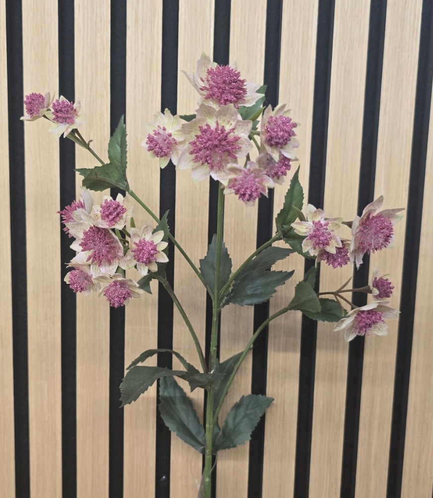 Artificial Astrantia Spray – 77cm Pick/Cream