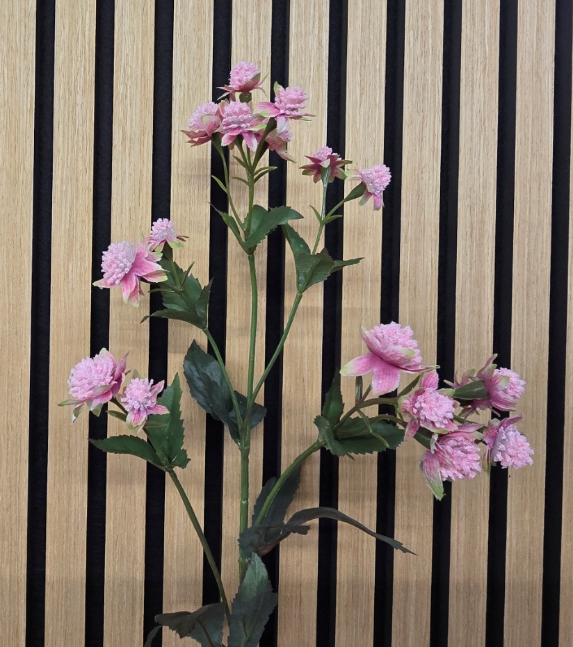 Artificial Astrantia Spray – 77cm Two Tone Pink