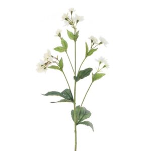 ECO Astrantia Spray - 77cm White-0