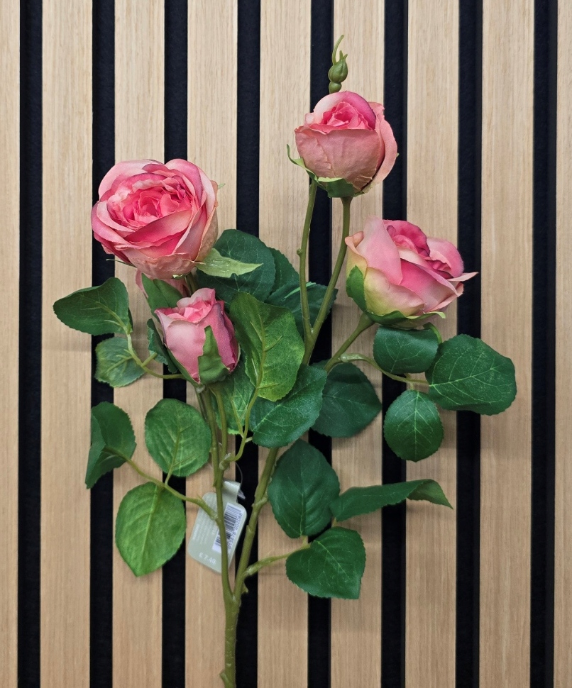 Abeba Rose Spray 60cm Melon