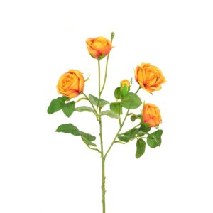 Abeba Rose Spray 60cm Orange-0