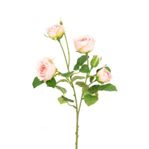 Abeba Rose Spray 60cm Pink-0