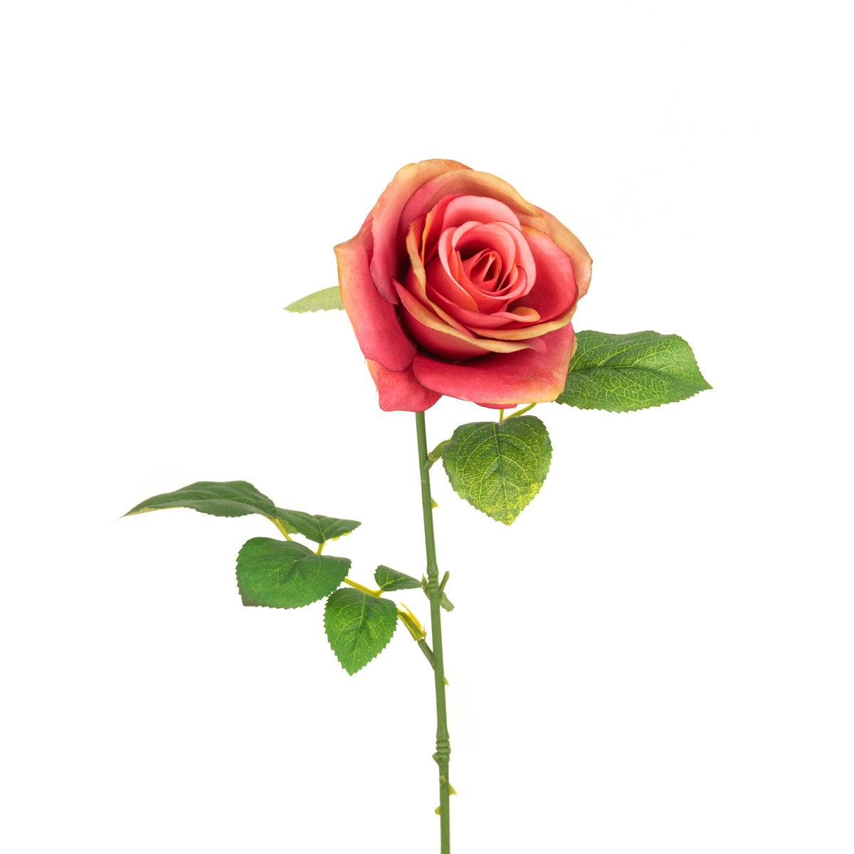 Gemma Single Rose - 64cm Coral-0