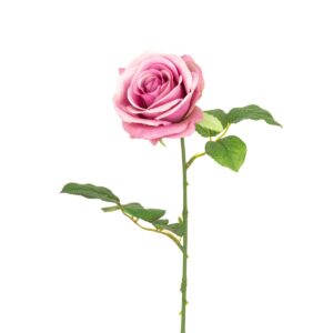 Gemma Single Rose - 64cm Mauve-0