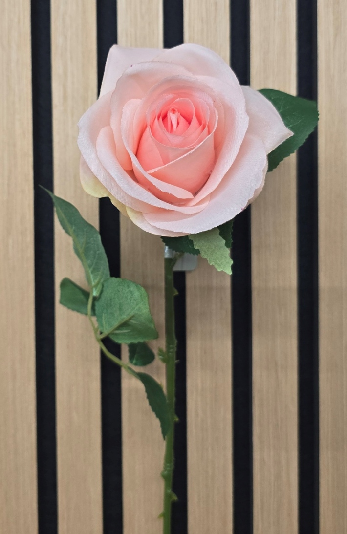 Gemma Single Rose – 64cm Pink