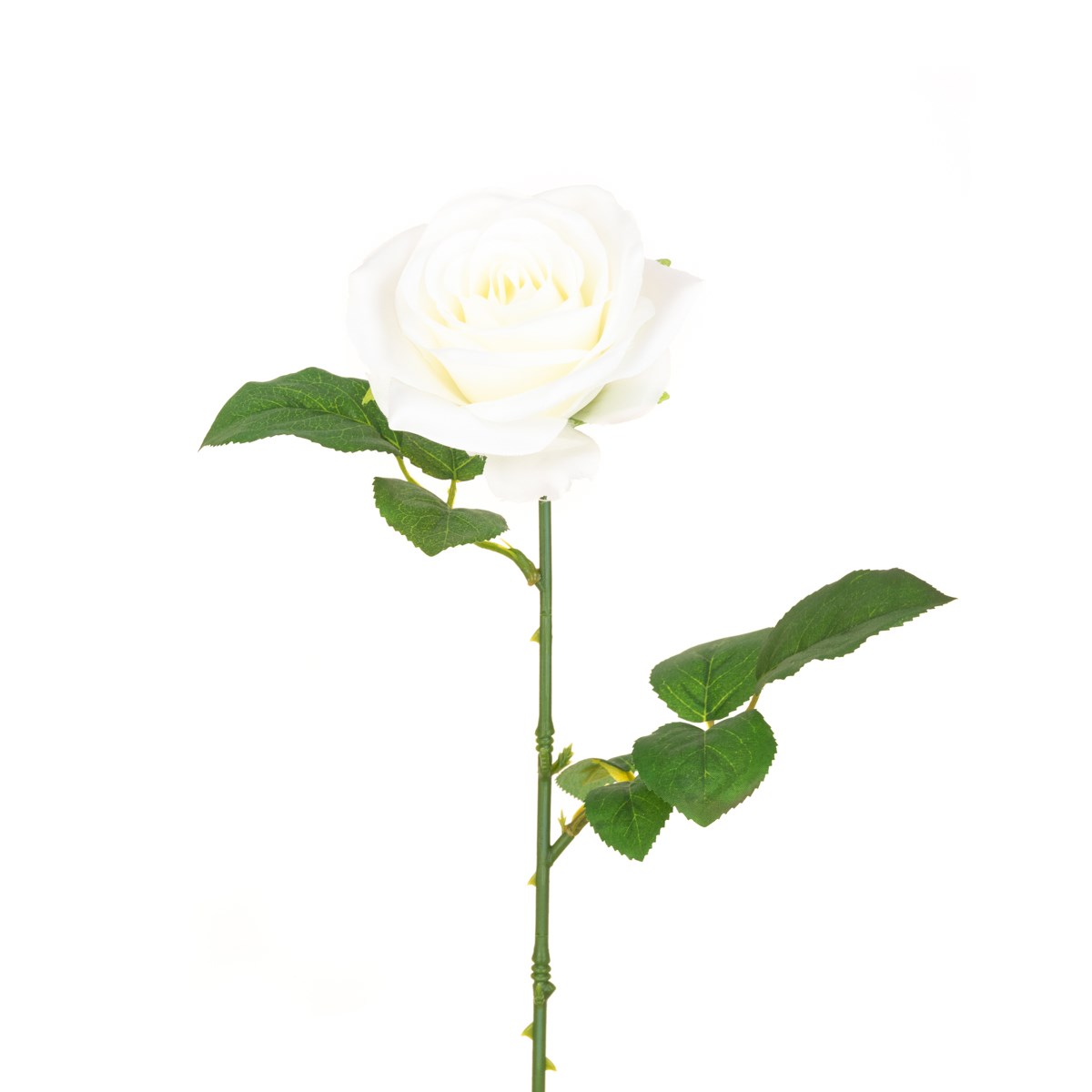 Gemma Single Rose - 64cm White-0