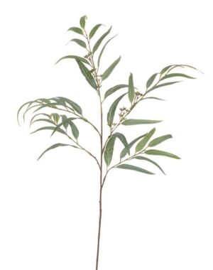 Long Leaf Eucalyptus - 117 cm Green-0