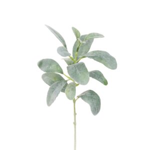 ECO Lambs Ear Shortie - 35cm Green