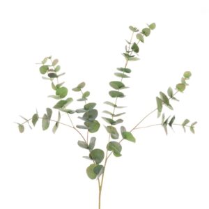 Jackson Eucalyptus Spray - 101cm-0