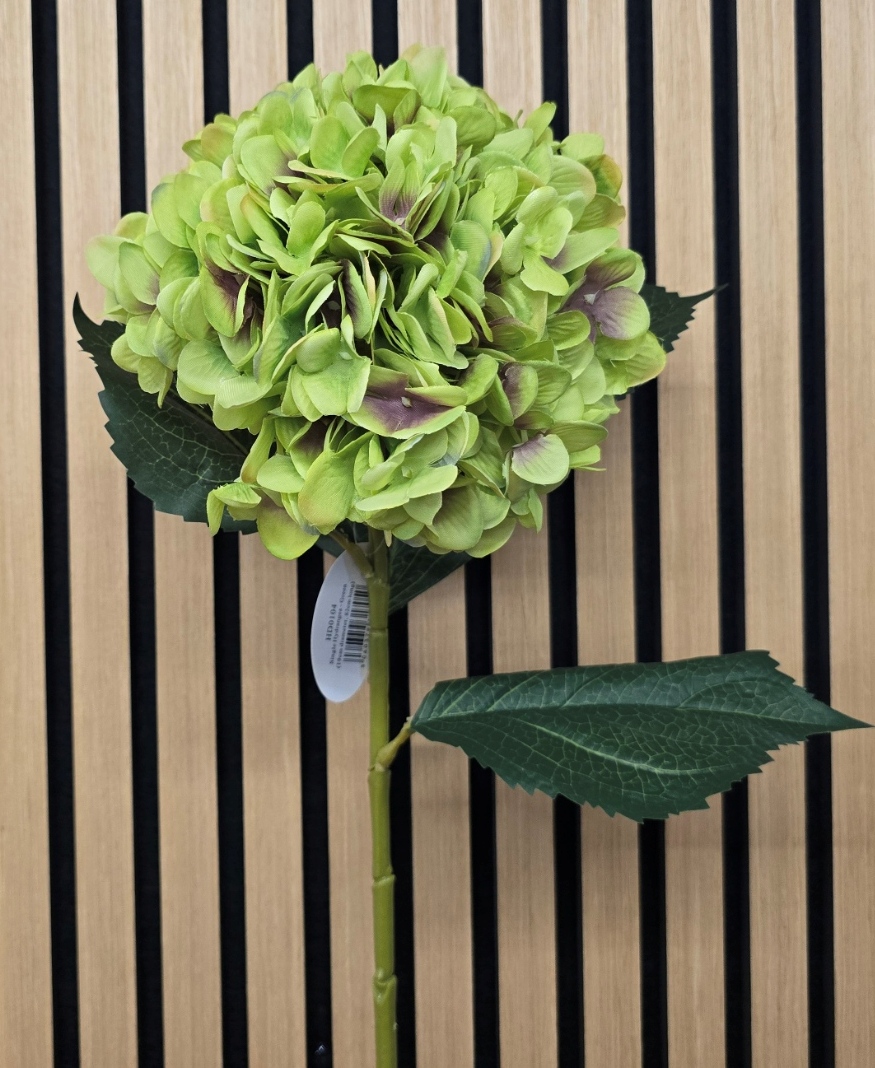Single Hydrangea 82cm Green