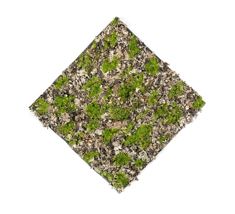Dry Moss Mat Green/Grey 50 x 50cm-0