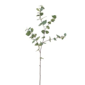 Eucalyptus Spray 96cm-0