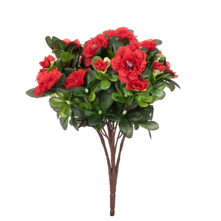 Azalea Bush - 36cm Red-0