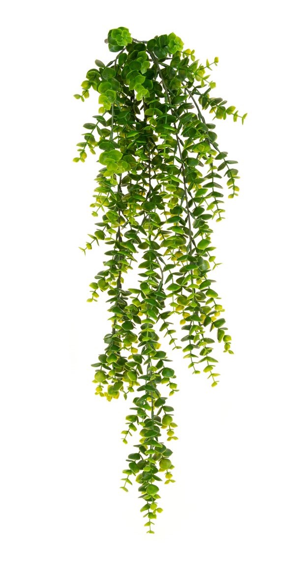 Artificial Eucalyptus Trailing 78cm UV