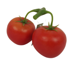 Tomato On Vine x 2pcs-0