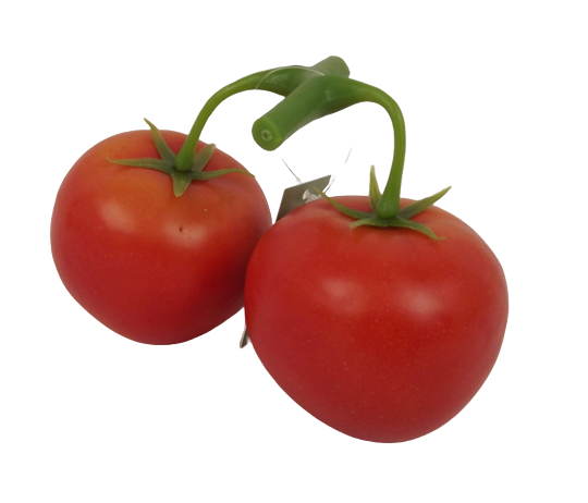Tomato On Vine x 2pcs-0