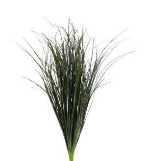 68cm Bear Grass Bush-0