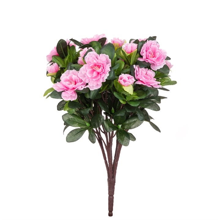 Azalea Bush - 36cm Pink-0