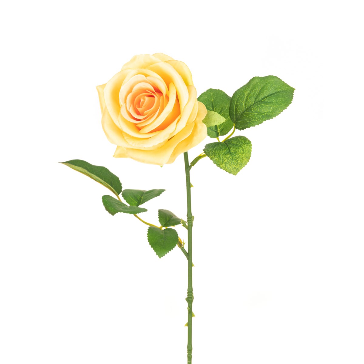 Gemma Single Rose - 64cm Peach-0