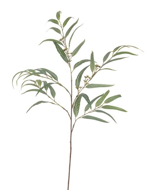 Long Leaf Eucalyptus - 117 cm Green-0