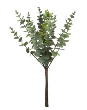 Eucalyptus Bundle - 46cm-0