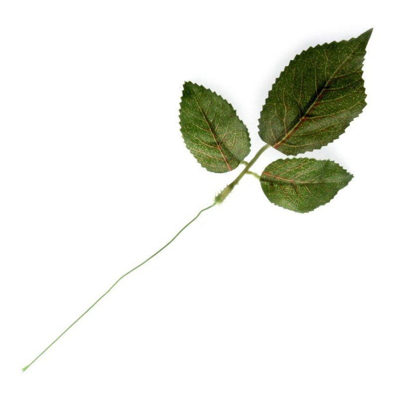 Rose Leaf Pick 25cm - Green x 12 Stems-0