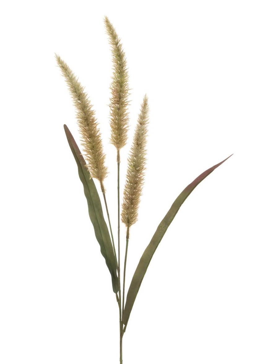 Antique Fountain Grass 94cm-0