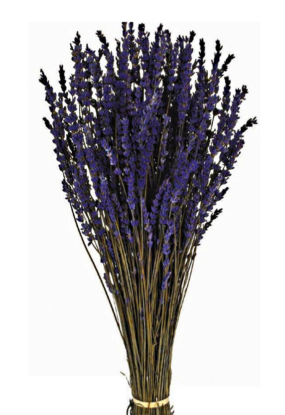 Preserved Lavender Bunch 150g-0