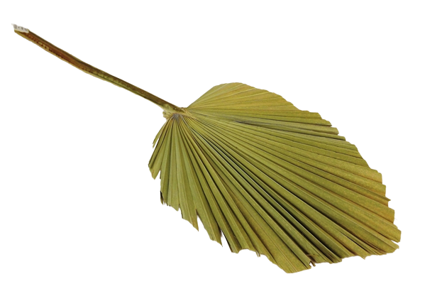 Kingspear Natural-0