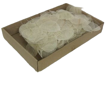 Skeleton Leaves Natural x 500pcs-0