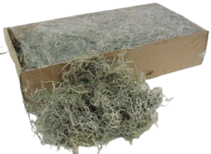 Tillandsia Moss (Forest Moss) Bag Natural White x 200g-0
