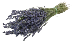 Lavender Bunch-0