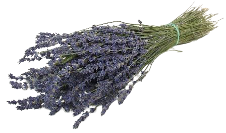 Lavender Bunch-0