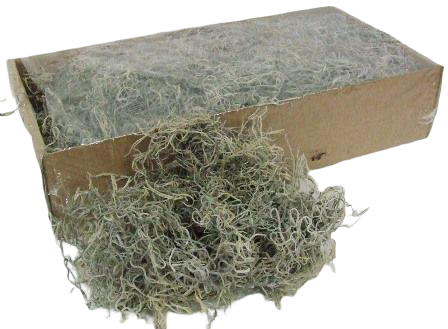 Tillandsia Moss (Forest Moss) Bag Natural White x 200g-0