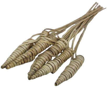 Cane Cone Natural X 25-0
