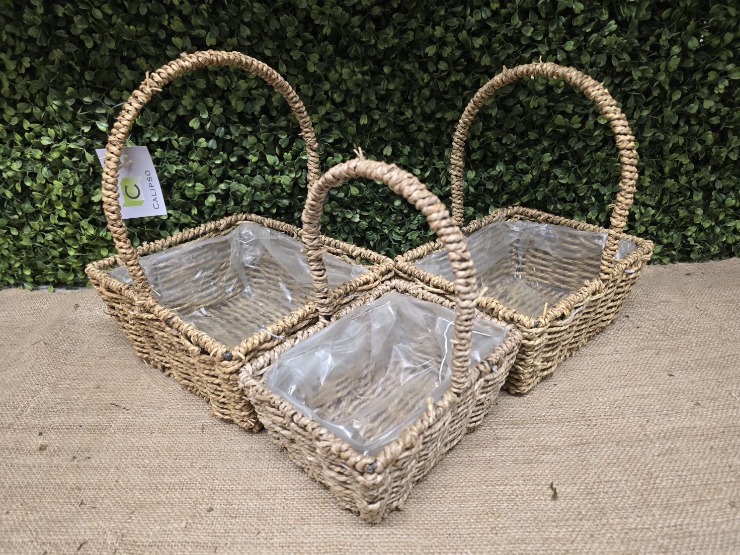 Seagrass Set Of 3 Baskets Rectangle