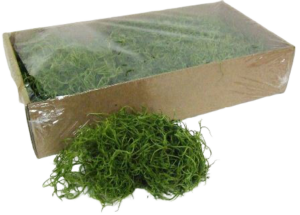 Tillandsia Moss (Forest Moss) Bag Apple Green 200g-0