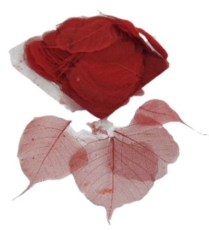 Skeleton Leaves Bleeched Red x 200-0