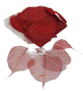 Skeleton Leaves Bleeched Red x 200-0