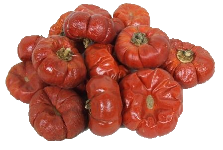 Dried Solanums (Pumpkins) x 250g