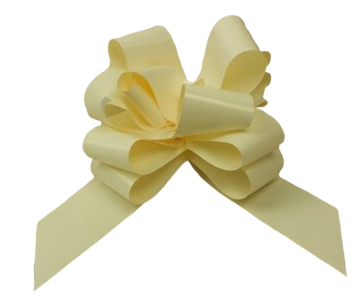 50mm Eggshell Pull Bows x 20 Pcs-0