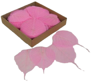 Skeleton Leaves Bleeched Pink X 200-0