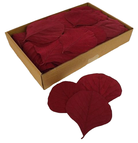 Cobra Leaves Red 100 Per Box-0