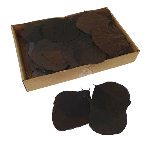 Cobra Leaves Black 100 Per Box-0