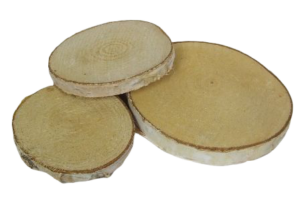 Birch Woodslices Round x 19 pcs 7 - 10cm Diameter-0