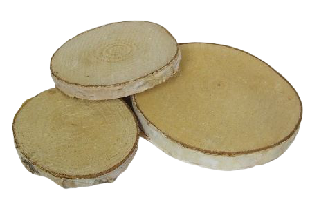 Birch Woodslices Round x 19 pcs 7 - 10cm Diameter-0