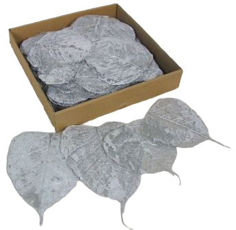 Skeleton Leaves Silver x 200-0