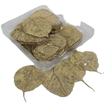 Skeleton Leaves Bleached Gold x 200-0