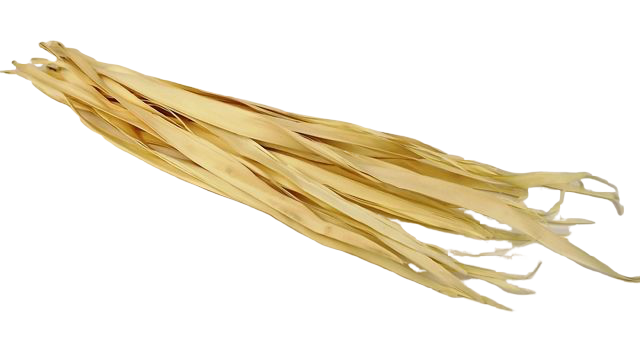 Sun Palm Leaves Bleached-0